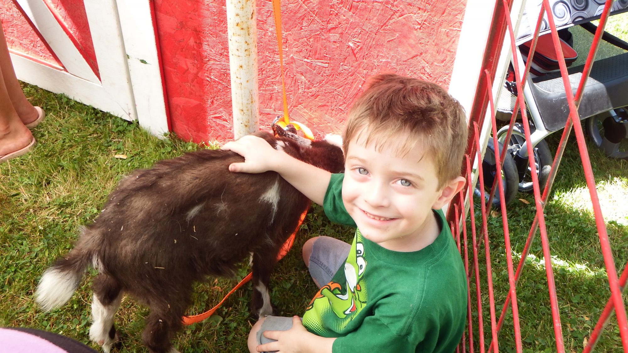 A young boy petting a goat.